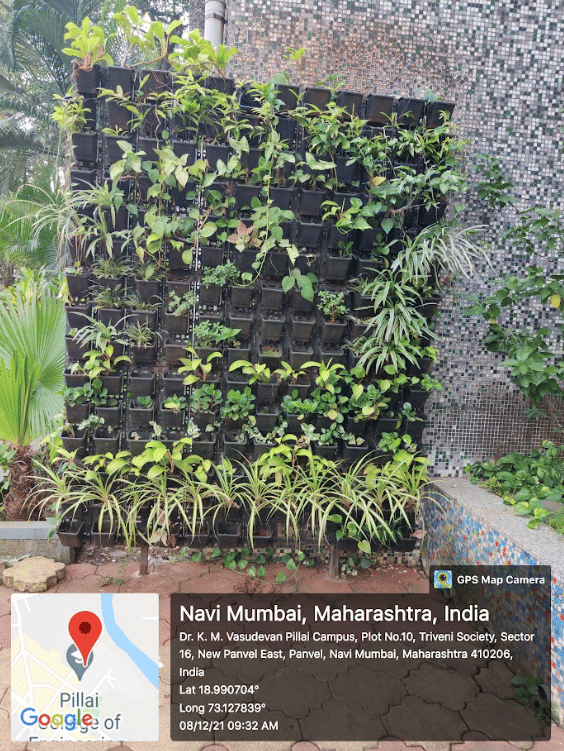 Pillai University Infrastructure photo 31